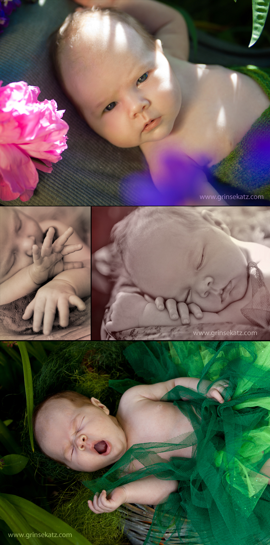 babyfotos-babyfotograf-newborn-neugeborenes-templin-uckermark