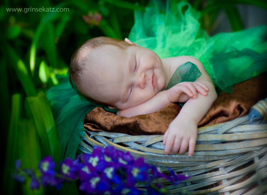 neugeborenes-baby-fotograf-templin-zehdenick