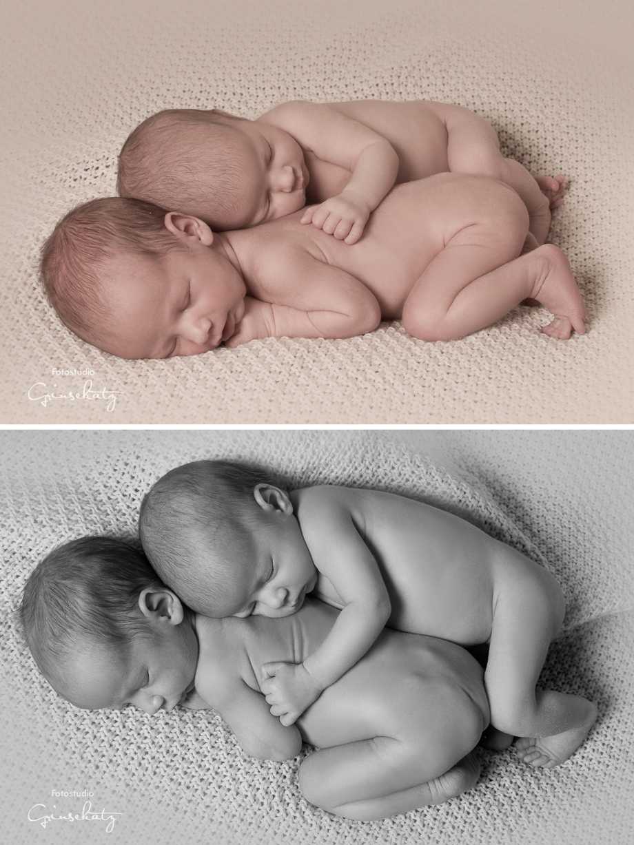 zwillinge fotograf fotografie babyfotograf uckermark
